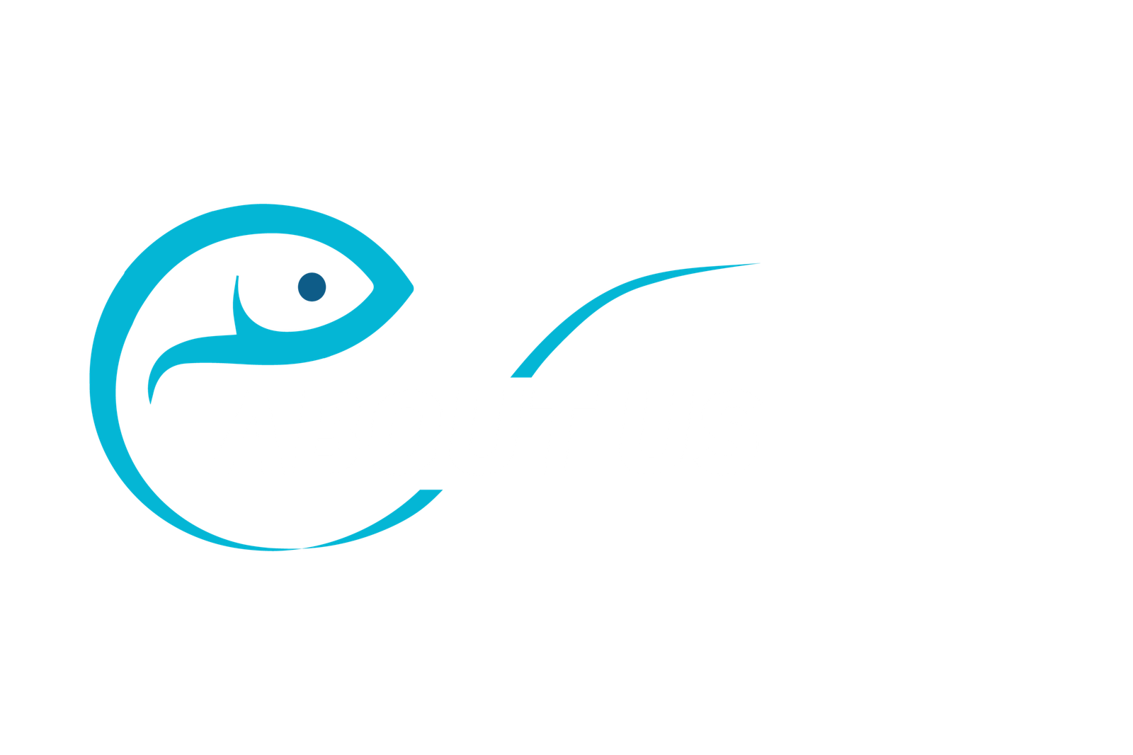 G B Fisheries